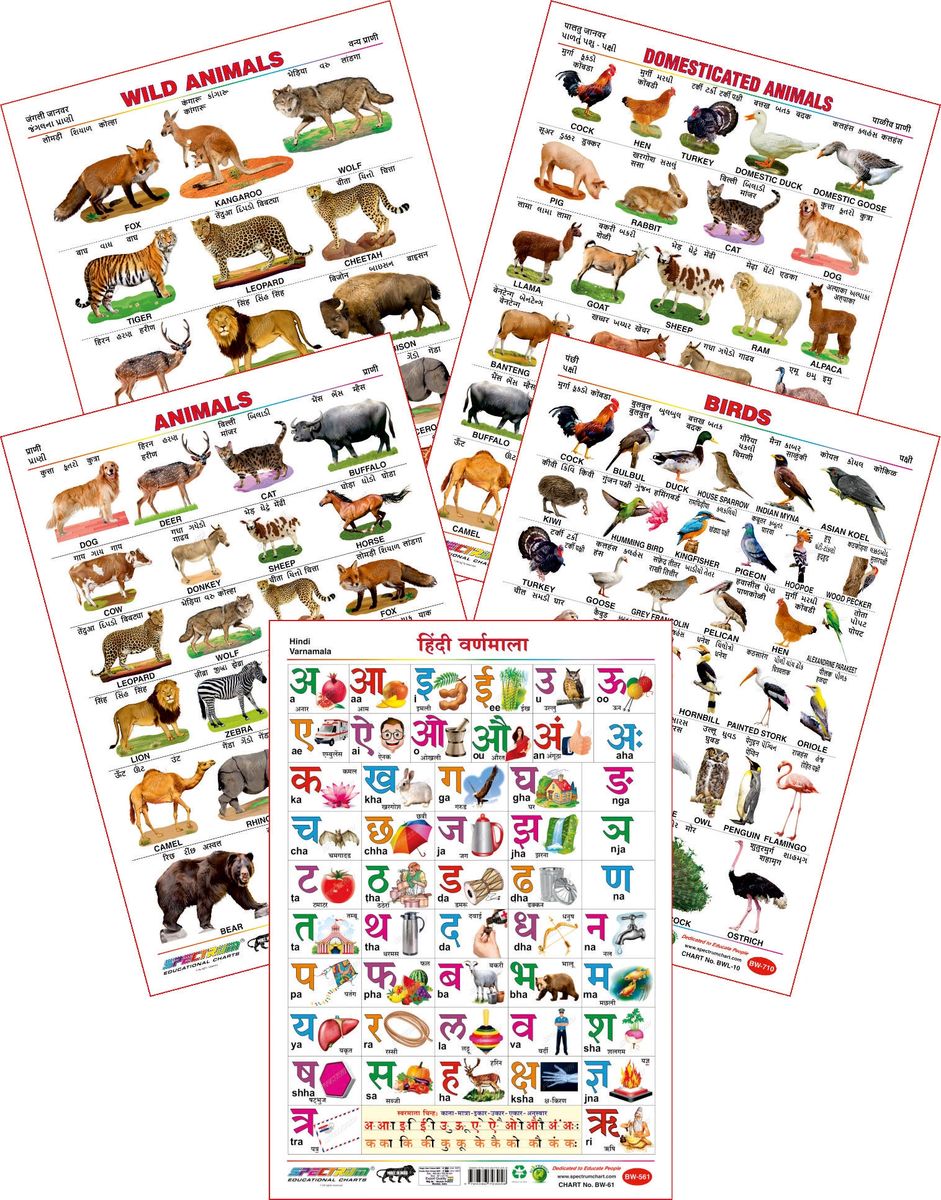 spectrum-educational-large-wall-charts-set-of-5-hindi-varnamala